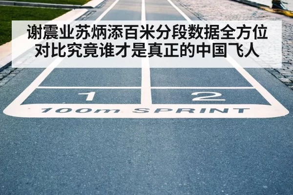 谢震业苏炳添百米分段数据全方位对比究竟谁才是真正的中国飞人